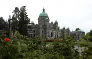 B.C. MLA's Call to Scrap Human Rights Code Sparks Constituent Backlash