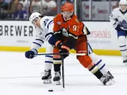 Brad Treliving's Tenure as Maple Leafs GM: A Look at Hits and Misses