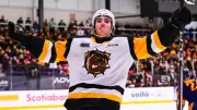 Brantford Bulldogs Clinch OHL Eastern Conference Top Spot as East Division Champions