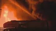 Calgary Luxury Car Dealership Fire Causes Estimated $10 Million in Damages