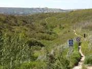 Calgary Parks Department Seeks $14M Boost Amid Rising Complaints and Growth