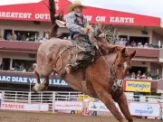 Calgary Plans Multi-Sport Upgrade for GMC Stadium to Enhance Year-Round Utilization