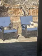 Calgary's Springlike Warmth Ends as Cold Snap Returns, Forecast Shows