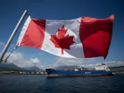 Canada and Japan Lead IEA Emergency Oil Release Amid Iran War Disruptions