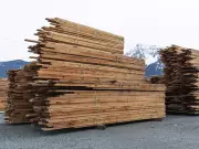 Canada's Forestry Crisis: B.C. Revenue Plummets as Single-Market Strategy Fails