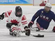 Canada's Para Hockey Veterans Lead Charge for Paralympic Redemption in Milan