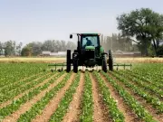 Canada's Productivity Crisis Deepens in Food Sector as U.S. Gains 10%