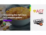 Canadian Pulse Innovation Project Aims to Transform Agriculture and Food Manufacturing