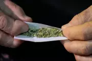 Cape Breton Cannabis Store Raids Lead to Spike in Ticket Issuance