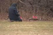 Cleveland Police Detain Woman in Investigation of Two Girls Found Buried in Suitcases