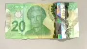 Counterfeit Currency Surge in Northern Ontario: Fake $20 Bill Found in Moose Factory