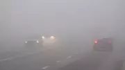 Dense Fog Advisory Issued for Southwestern Ontario, Warning of Near-Zero Visibility