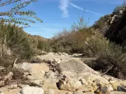 Desert Wisdom: Applying the Four-Burner Theory to Purposeful Wealth Building