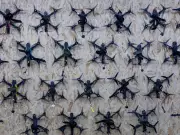 Drone Maker's 1,000% Stock Surge Highlights Wall Street's Defense Tech Craze