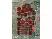 EarthDaily to Showcase at Craig-Hallum NewSpace Conference on March 25