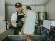 Eastern Ontario Beekeepers Fear High-Speed Rail Threatens Apiary and Rural Life