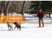 Edmonton's Hawrelak Park Reopens After Three-Year Renovation Project