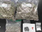 Expired License Plate Leads OPP to Major Drug Seizure in Clarence-Rockland