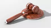 Florida Teens Accused in Murder Plot Laugh About Mugshots, Shout 'Yay' in Court