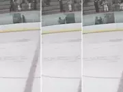 Hockey Referees Attacked After Minor League Game in Quebec, 39-Year-Old Arrested