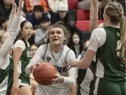 Holy Cross vs. Walter Murray: Third Straight High School Basketball Finals Showdown