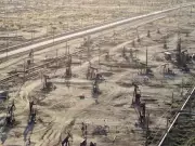 IEA Proposes Emergency Oil Reserve Release to Counter Price Surge