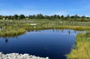 Innisfil's Stormwater Pond Upgrade Cuts Pollution Flowing into Lake Simcoe
