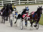 Loss of Leamington Race Date Threatens Future of Small Ontario Tracks