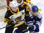 Maple Leafs Prospect Ben Danford Eyes OHL Championship with Brantford Bulldogs