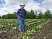 Metro Vancouver's Agricultural Decline: Farmers, Farms, and Farmland All Decreasing