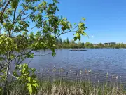 New Brunswick Implements New Regulations for Recreational Fishing Activities