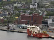 Newfoundland Junior Hockey League Issues 53-Game Suspensions After Multi-Brawl Game