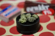 Nova Scotia RCMP Issues Tickets Following Raids on Five Illegal Cannabis Stores