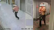 Ontario Man Charged After Allegedly Taking Flamingo to Las Vegas Hotel Room
