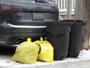 Ottawa Faces Extended Garbage Collection Gap During Contract Transition