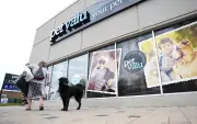 Pet Valu Reports Strong Q4 Profit Growth and Dividend Increase