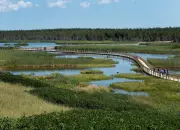 Prince Edward Island's 2026 Wildfire Season Officially Begins