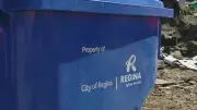 Regina Urges Residents to Improve Recycling Habits Amid High Contamination Rates