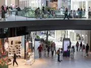 Royalmount Mall Bans Dogs Due to Hygiene Issues from Uncollected Waste