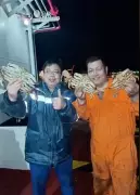 Sailors' Massive Crab Haul in Vancouver Sparks Official Investigation