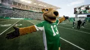 Saskatchewan Roughriders Seek New Mascot Successor to Gainer the Gopher