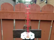 Severe Weather Alert: Heavy Rain, Thunderstorms, and Fog to Impact Windsor-Essex Region