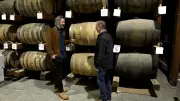 Southern Alberta's Climate Boosts Whisky Production, Experts Say