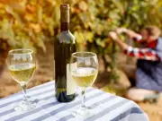 Spring Wine Guide: Embracing Seasonal Shifts with Sauvignon Blanc and Pinot Noir