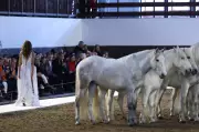 Stella McCartney's Silent Statement: Horses Lead Paris Fashion Show