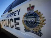 Surrey Business Targeted in Overnight Shooting in Cloverdale Area