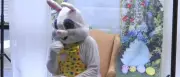 The Easter Bunny's American Roots: A Pennsylvania German Legacy