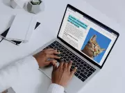 The Enduring Relevance of PDF Workflows in a Cloud-First Economy