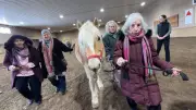 Therapy Horses in Ottawa Build Resilience for Seniors Through Unique Program