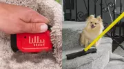 Top 10 Amazon Pet Hair Removers That Actually Work for Pet Owners